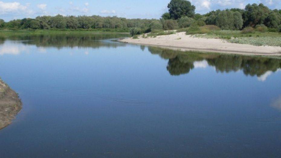 Жительница Воронежской области умерла во время купания в реке Дон