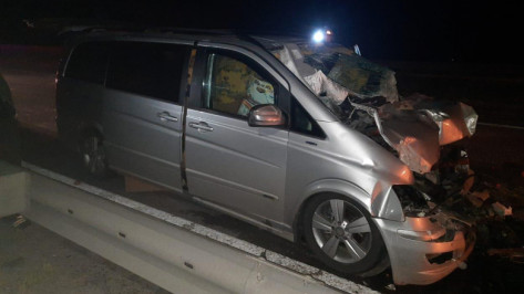 В Воронежской области минивэн врезался в ехавший перед ним КамАЗ: водитель погиб