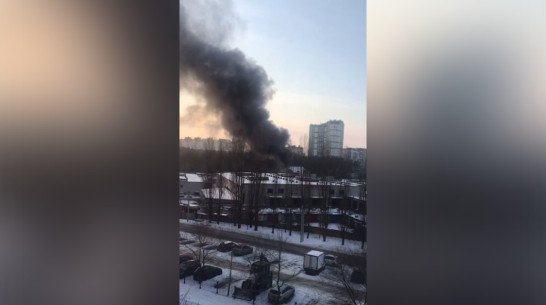Пожар в гаражном кооперативе попал на видео в Воронеже