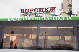 Воронежцам потребуется новая ссылка для вывода карт из стоп-листа на транспорте