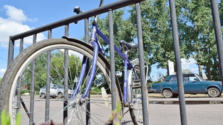 В Грибановском районе в 2 раза выросло число краж велосипедов