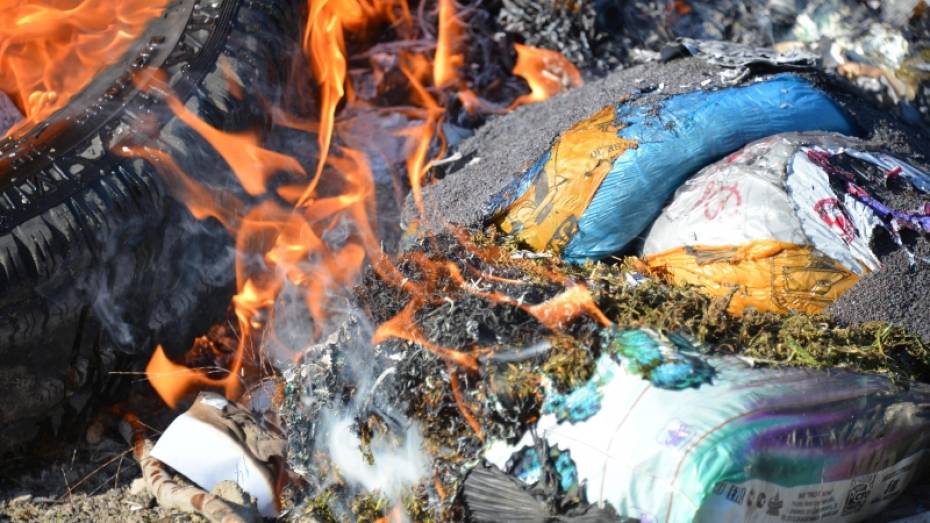 В Воронежской области сожгли более 69 кг наркотиков