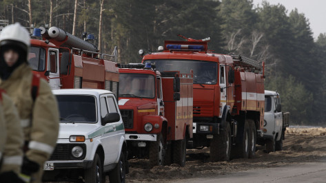 Пожарную опасность максимального уровня зафиксировали в Воронеже