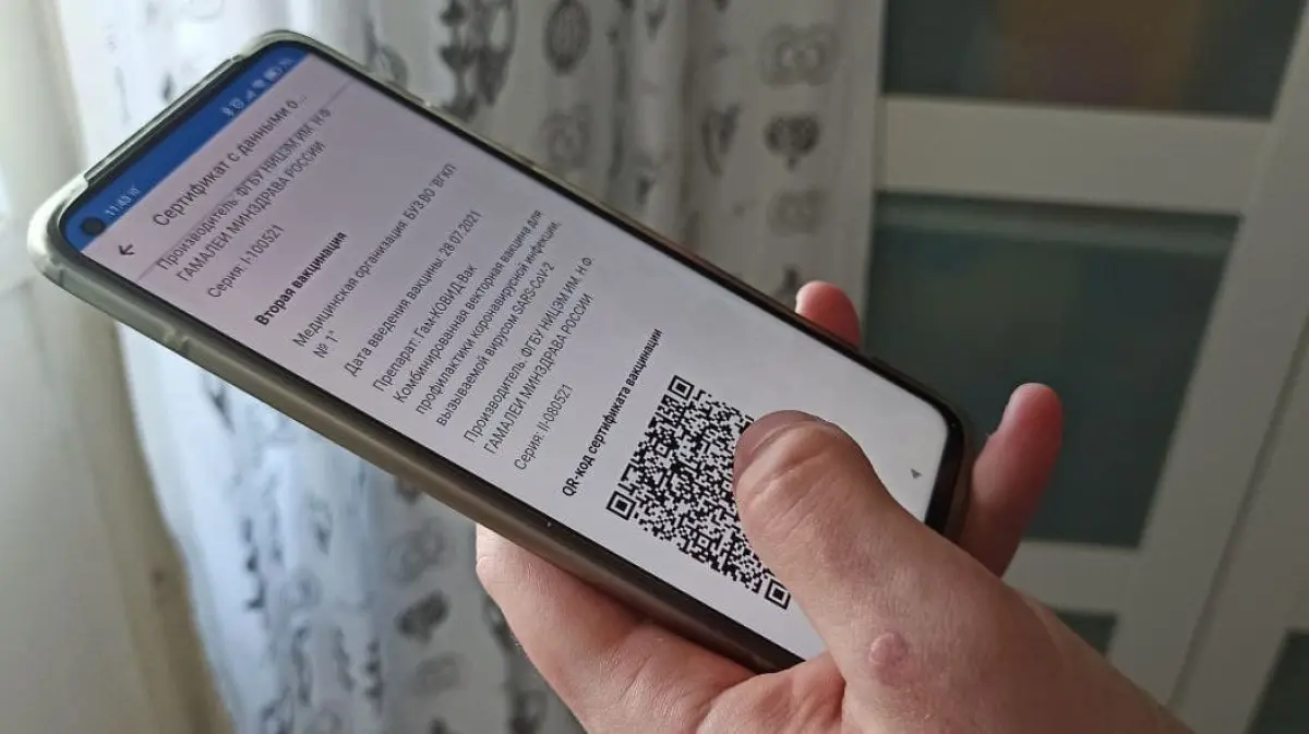 Система QR-кодов начнет действовать в Воронежской области с 11 октября