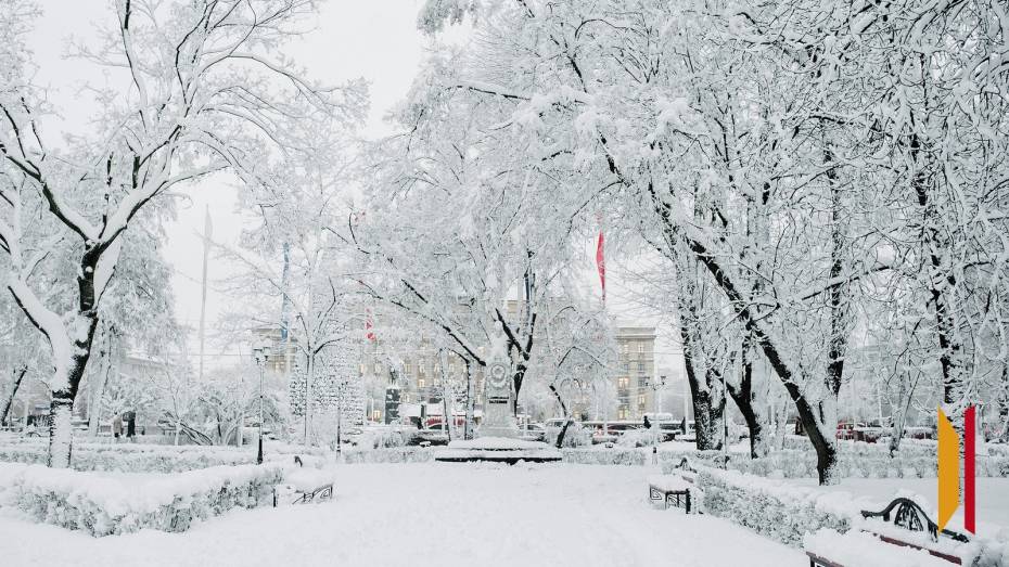 В Воронеже короткая рабочая неделя будет снежной и морозной