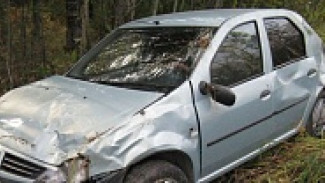 Под Павловском пьяный водитель Renault улетел в кювет с односельчанином