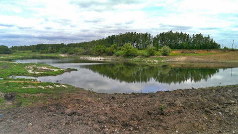 Медвеженский пруд в Семилукском районе наполнился вопреки прогнозам экологов
