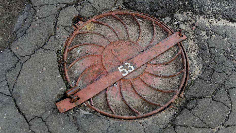 Воронежцы пожаловались на прорыв канализации на улице Шишкова