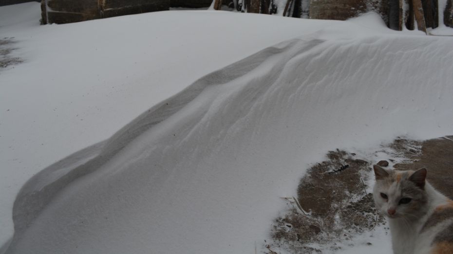 Нижнедевицкие села в минувшие выходные засыпало снегом