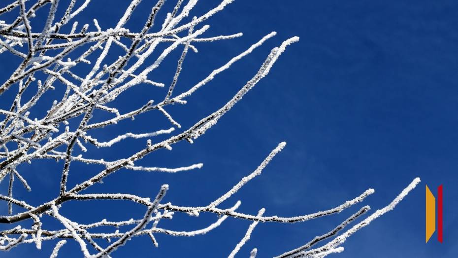 Воронежцев предупредили о резком похолодании и сильном ветре 17 февраля