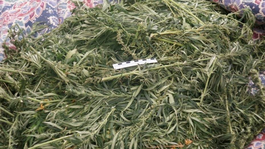 Под Воронежем полицейские нашли у сельчанина 2,5 кг марихуаны