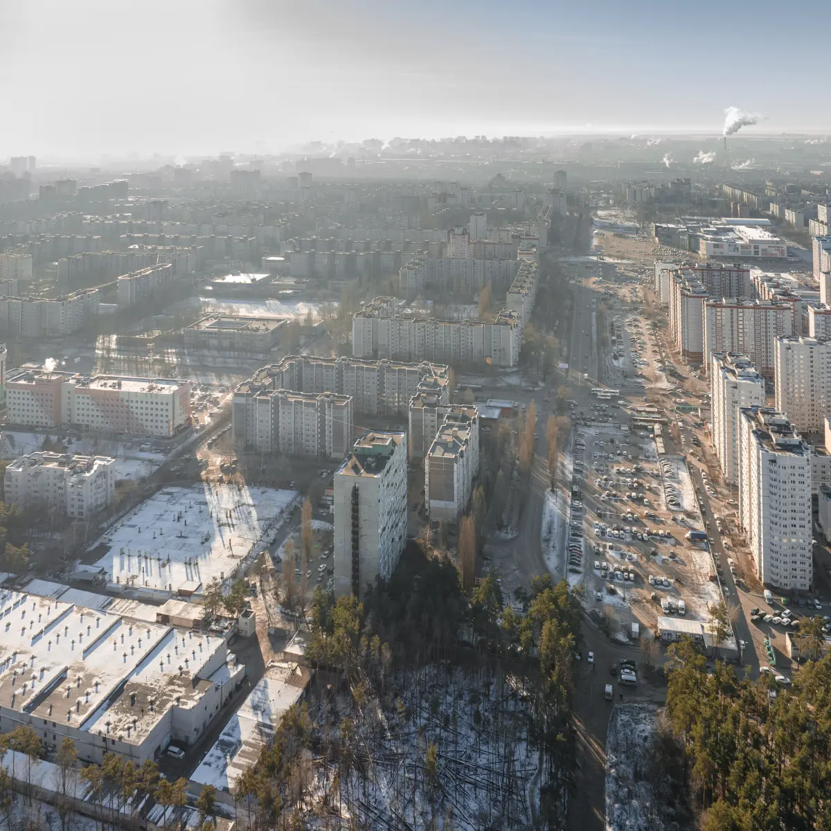 Строительство дублера Московского проспекта в Воронеже не затронет Северный  лес