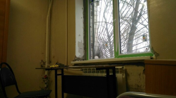 Воронежские активисты нашли клопов и тараканов в 5 студенческих общежитиях