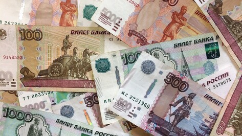 Средний ежемесячный доход жителя Воронежской области за год вырос на 7,6%
