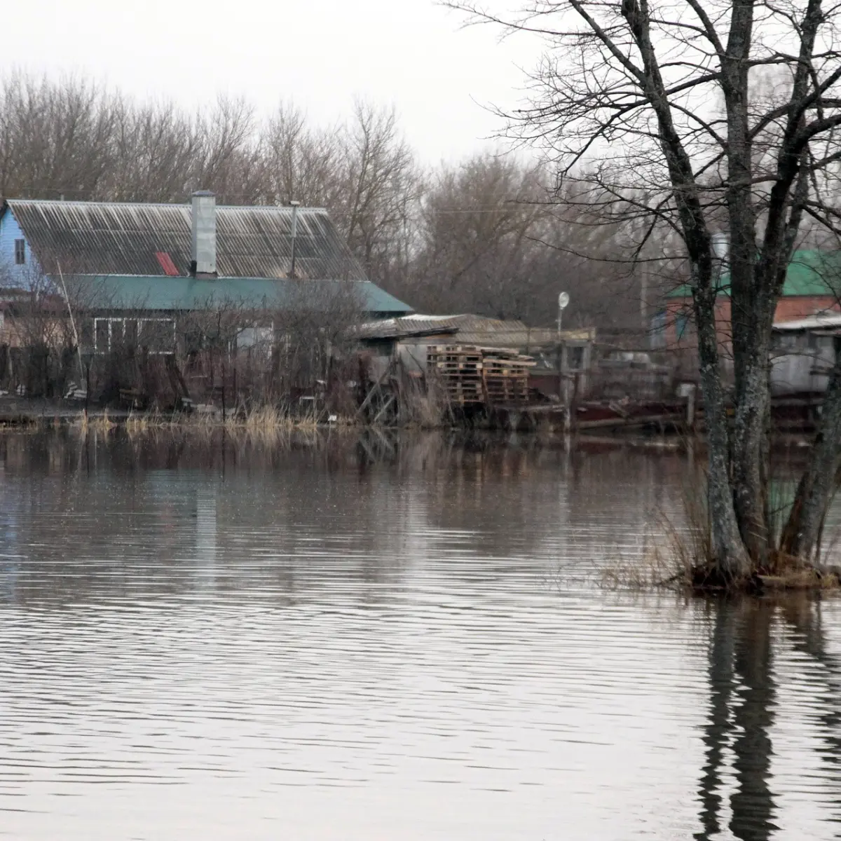 Синоптики дали прогноз на половодье в Воронежской области