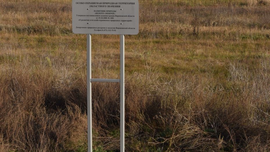 В Поворинском районе обозначили 3 памятника природы