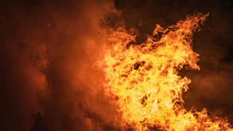 Пожар вспыхнул возле Остужевской развязки в Воронеже 12 июля