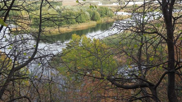 Власти утвердили границы территории Кузнецовского городища в Воронеже