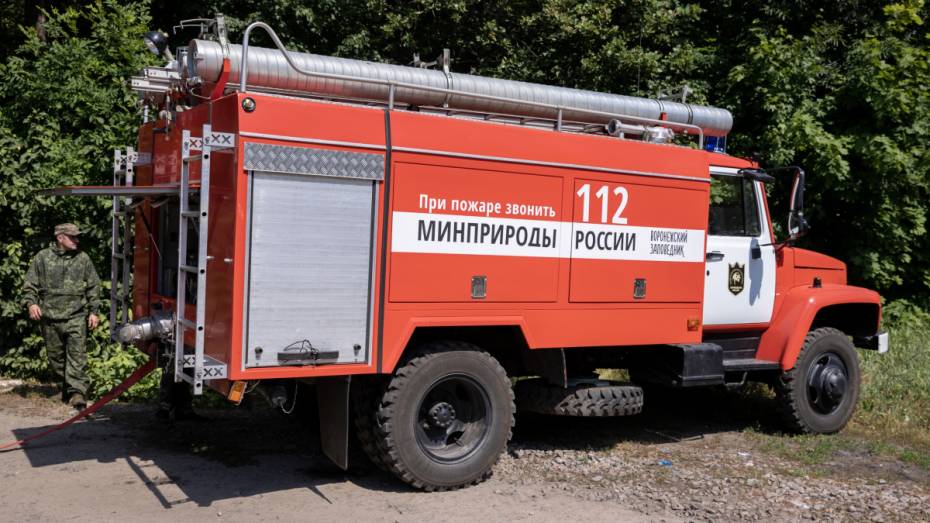 В Воронежском заповеднике потушили быстро распространявшийся пожар