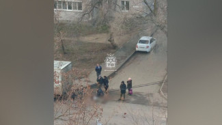 В Воронеже на улице Кривошеина сбили человека