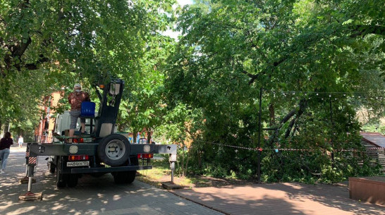 Дерево обрушилось на детскую площадку в центре Воронежа