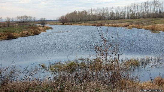 В Воронежской области женщина утонула в день похорон дочери