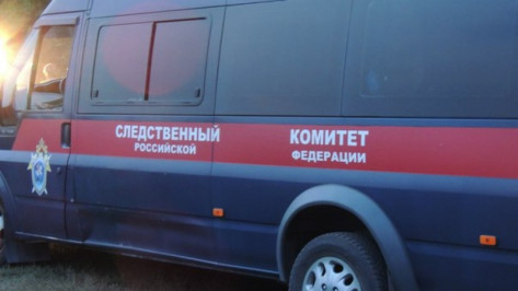 Следователи разберутся в причинах гибели супругов при пожаре под Воронежем