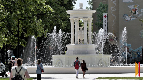 Итоги недели. Что важного произошло в Воронежской области с 12 по 18 мая