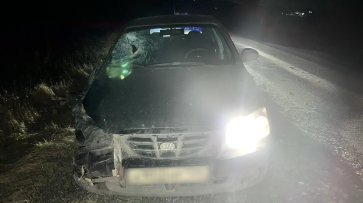 Под Воронежем автомобиль KIA насмерть сбил пешехода