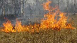 В Воронежской области установился наивысший класс пожарной опасности