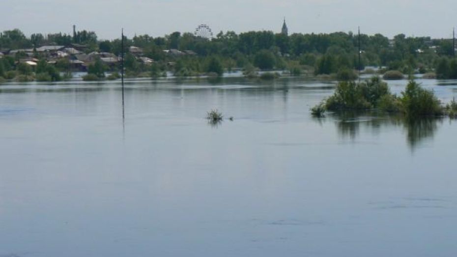 Эксперты: временный мост через реку Ворона в Борисоглебском районе может быть затоплен во время половодья