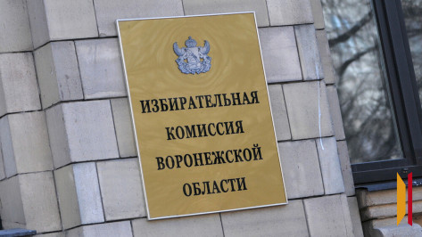 Воронежский облизбирком утвердил новый состав территориальных избирательных комиссий