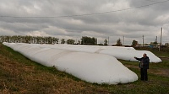 Нижнедевицкое сельхозпредприятие будет всю зиму хранить пшеницу  в «рукавах»
