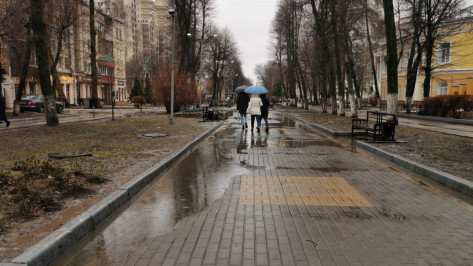 Синоптики спрогнозировали потепление и дожди к концу рабочей недели в Воронеже