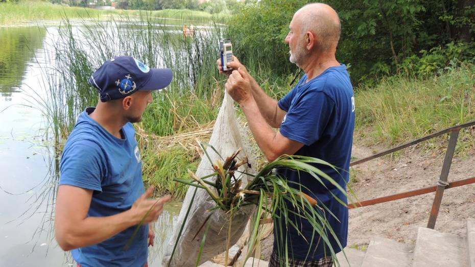 В воронежские реки могут выпустить 400 тыс рыб