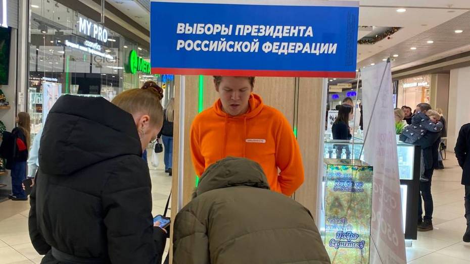 Воронежские волонтеры собирают подписи за выдвижение Владимира Путина в президенты РФ