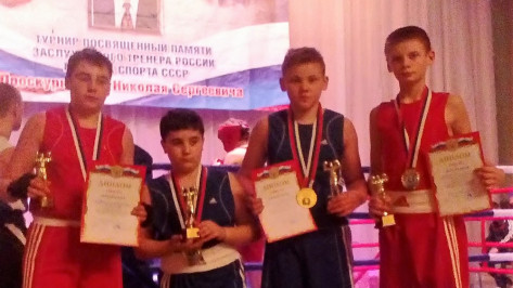 Каширские боксеры завоевали 4 «золота» в открытом первенстве Левобережного района Воронежа