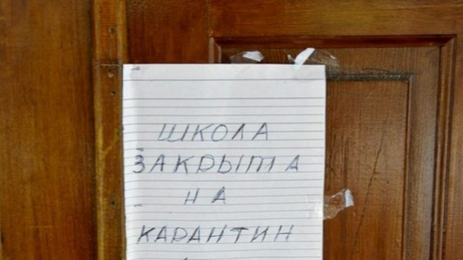 Две школы и четыре детских сада в Воронежской области полностью закрыты