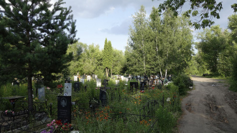 В 2019 году почти каждый 2-й умерший в Воронежской области скончался от проблем с сосудами