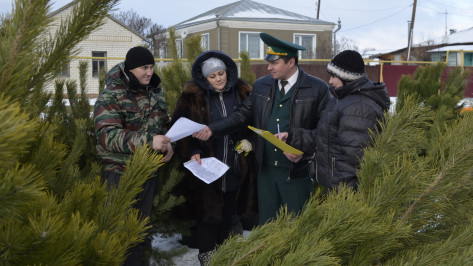 Новогодним браконьерам в Воронежской области пригрозили штрафами до 300 тыс рублей
