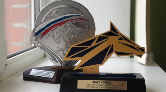 Хреновской конезавод Бобровского района признали лучшим по итогам бегового сезона-2020