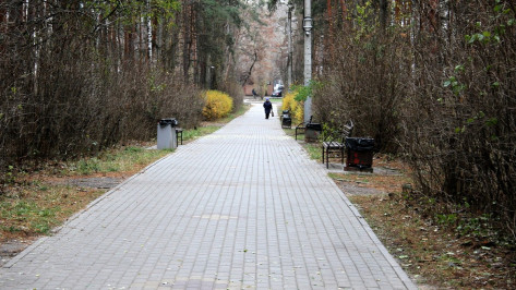 Концессионера парка «Танаис» в Воронеже определят после проведения торгов