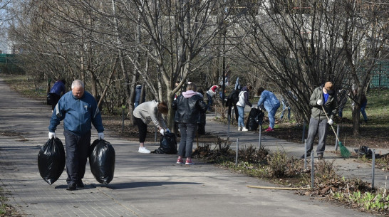 Почти 128 тыс человек помогли в уборке Воронежа после зимы