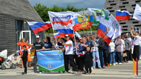 Объединились, чтобы созидать: за 10 лет россошанские общественники воплотили в жизнь больше 170 проектов по благоустройству