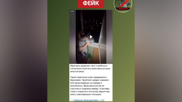 В Воронеже разоблачили фейк о спуске ребенка на тросе из окна многоэтажки
