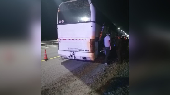 Воронежские автоинспекторы помогли пассажирам и водителю сломавшегося на трассе автобуса