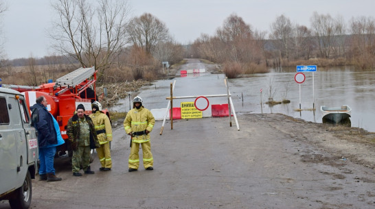 Мост через реку Ворона в Воронежской области ушел под воду