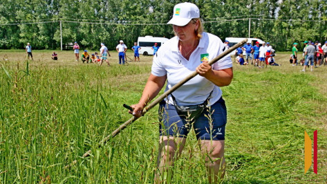 Сельские игры планируют вновь проводить в Воронежской области