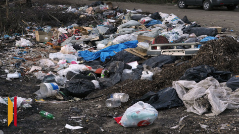 В Воронежской области обнаружили еще одну незаконную свалку размером 3 га