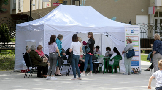 Для воронежцев организовали медицинские обследования в парке «Орленок»